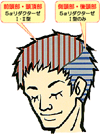 2種類の5α還元酵素