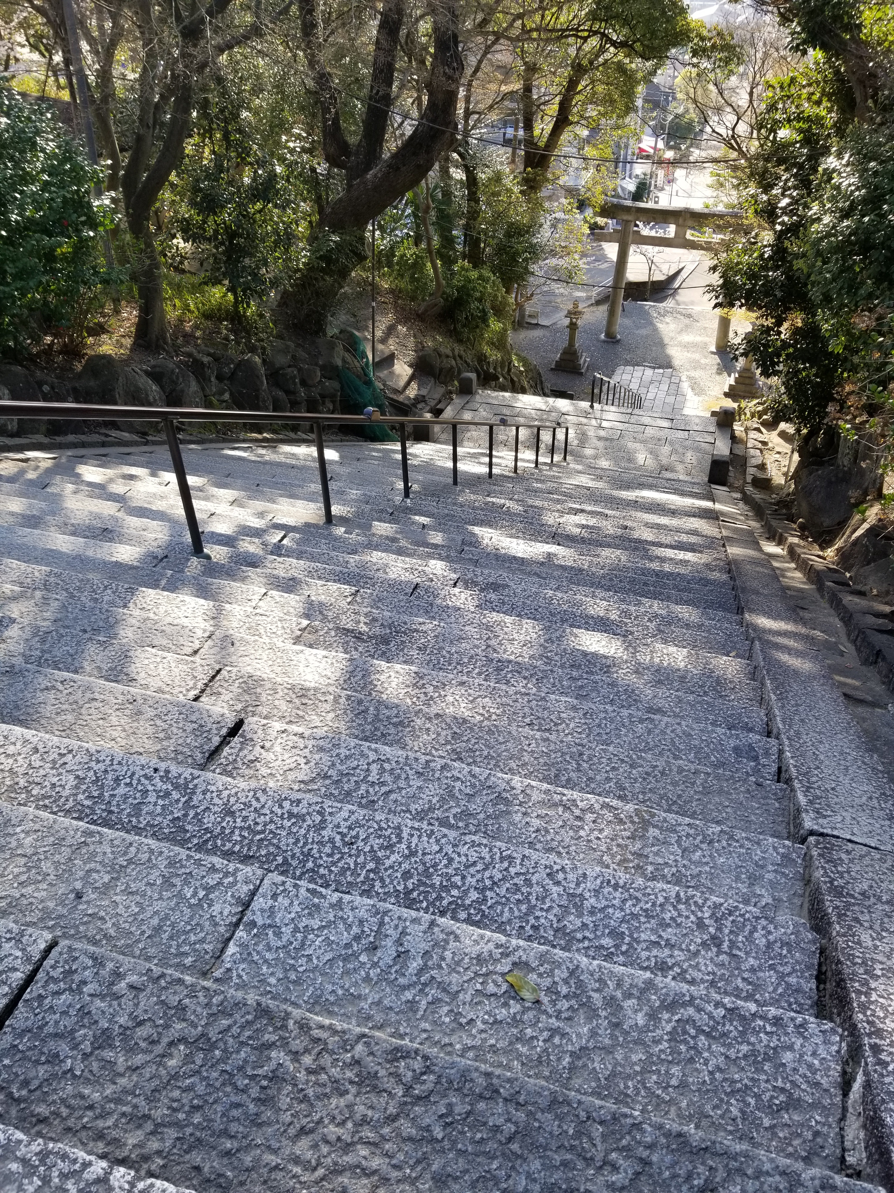 width=
