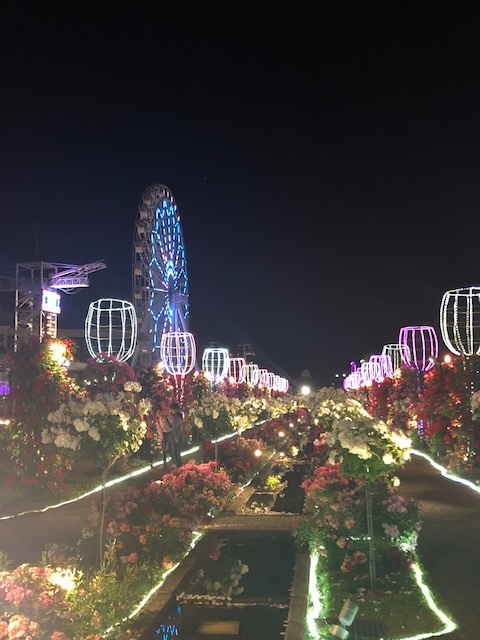 width=